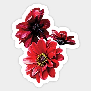 Red Zinnia Trio Sticker